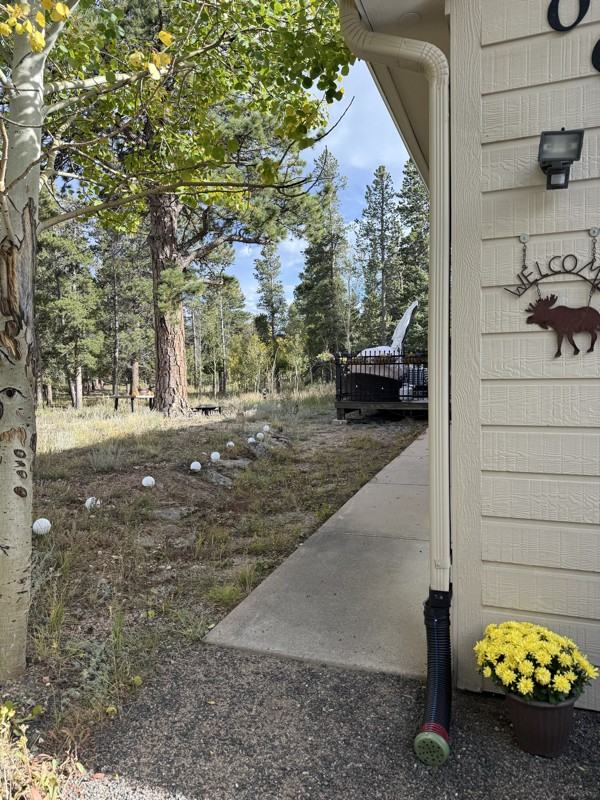 206 E Dory Dr - Photo 2 of 12