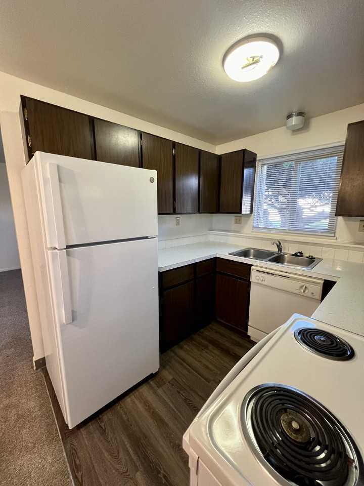 1519 Oxford Drive - Photo 7 of 14