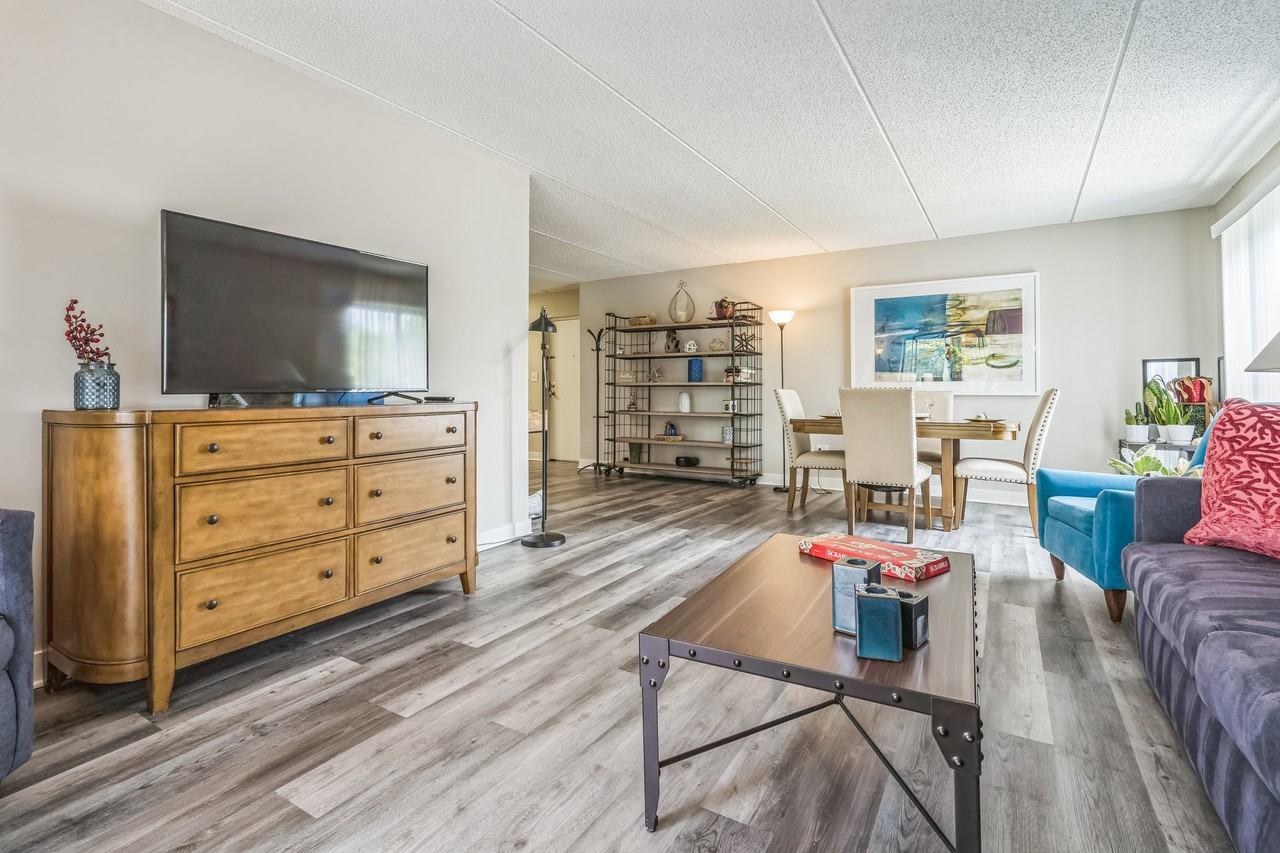 Luna Park - Photo 3 of 27