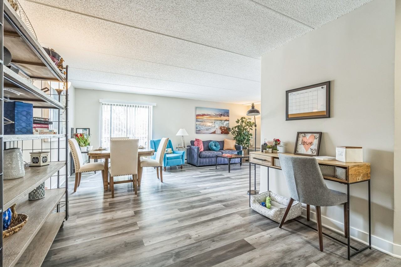 Luna Park - Photo 6 of 27