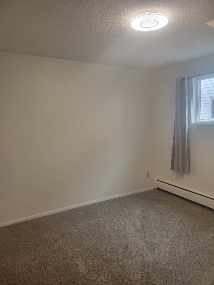 3214 Stephens Avenue South - Photo 7 of 20