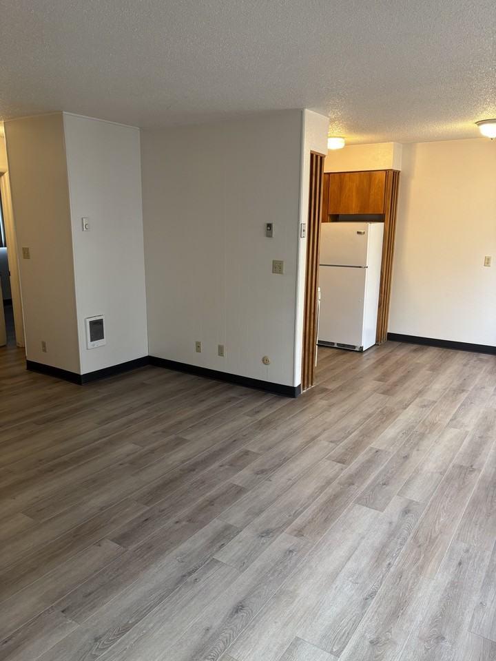 225 Poplar Street - Photo 3 of 12