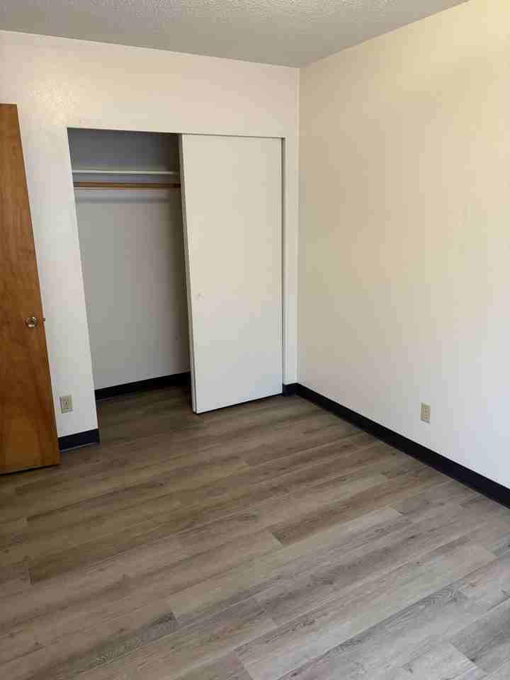 225 Poplar Street - Photo 6 of 12