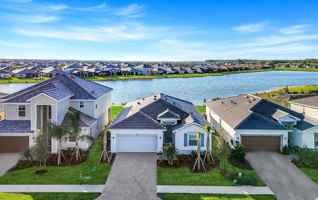 featured image of 3928 Sweet Alyssum Ter