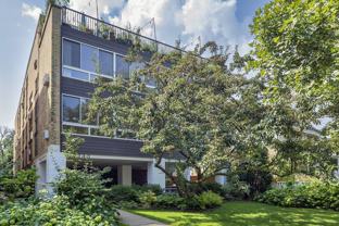 2730 Central St #3A - Photo 1 of 1