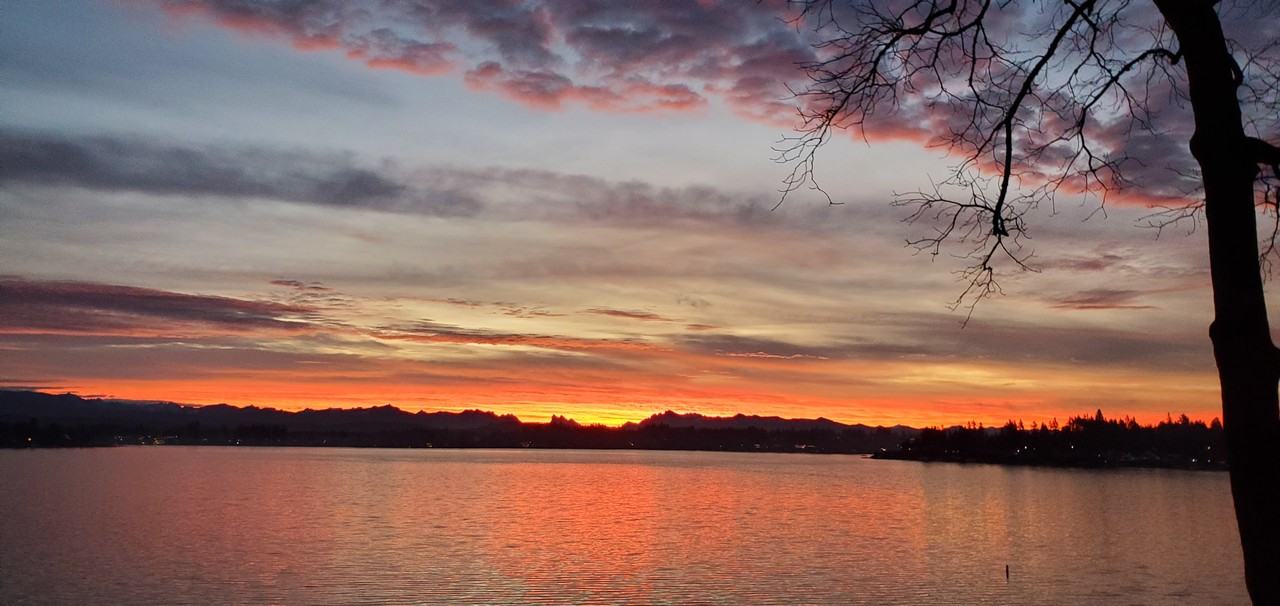 1611 Vernon Rd Unit B #NA - Photo 3 of 36