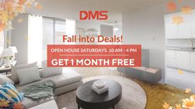 11 Catford - Photo 1 of 1