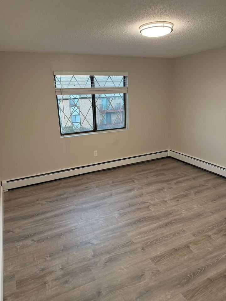 47 Princeton Street - Photo 7 of 42