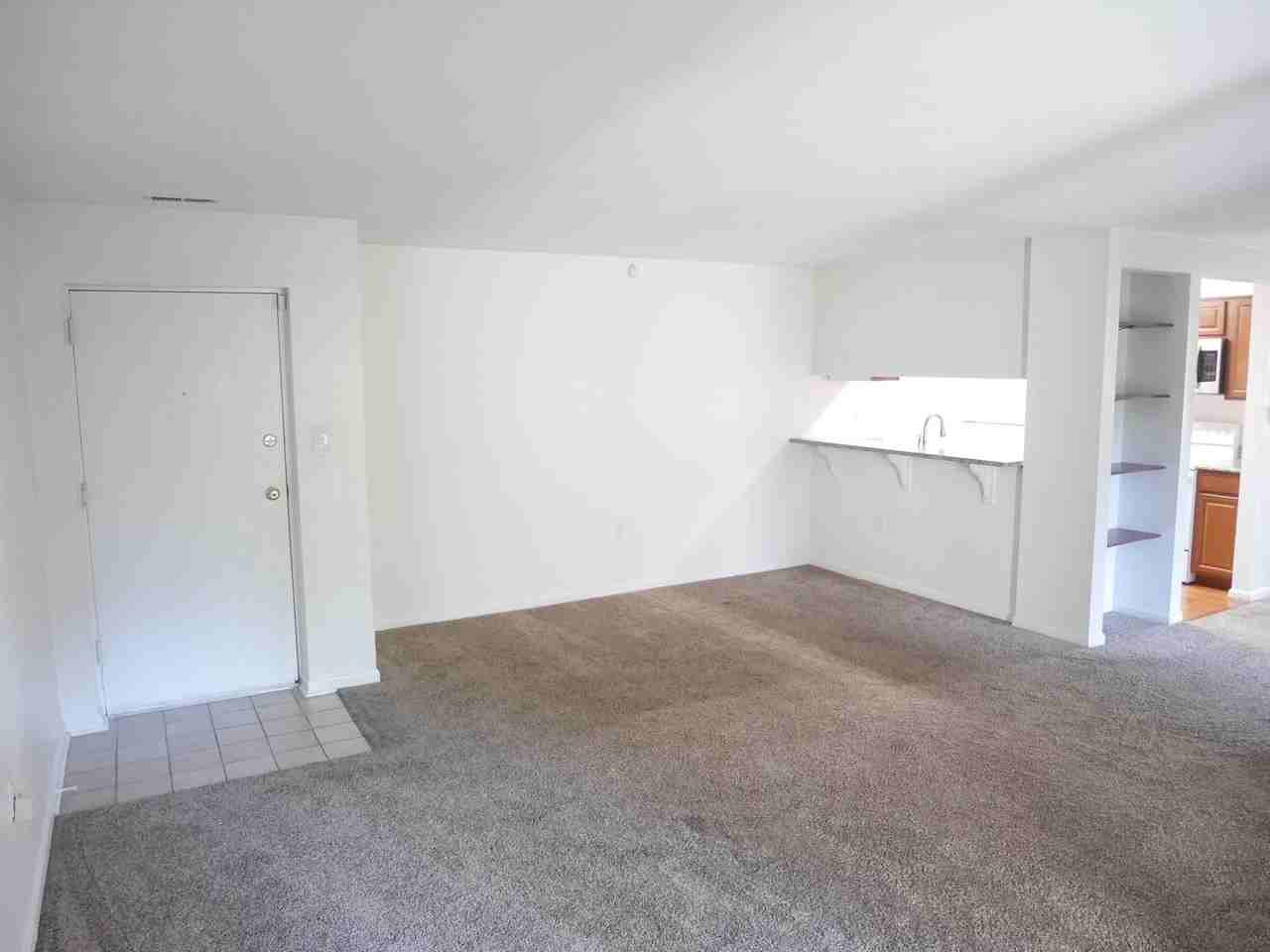 1115 Castle Harbour Way - Photo 4 of 15