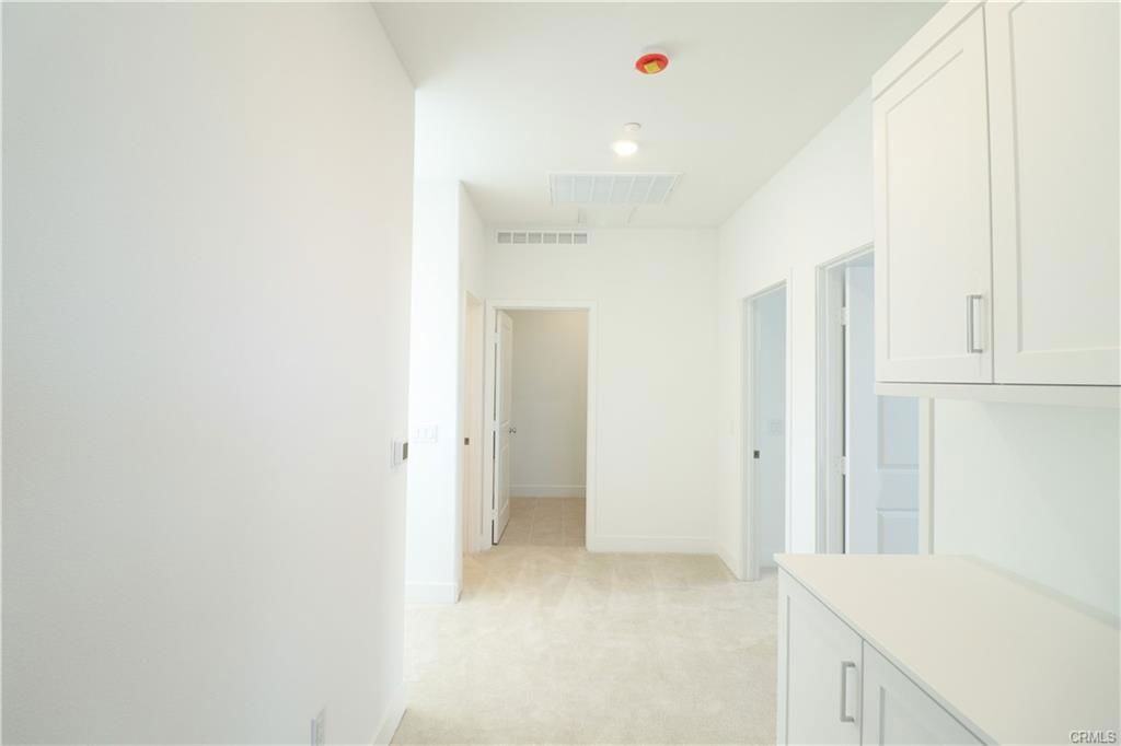 647 Gadwall - Photo 2 of 8