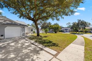 featured image of 245 Petrea Dr