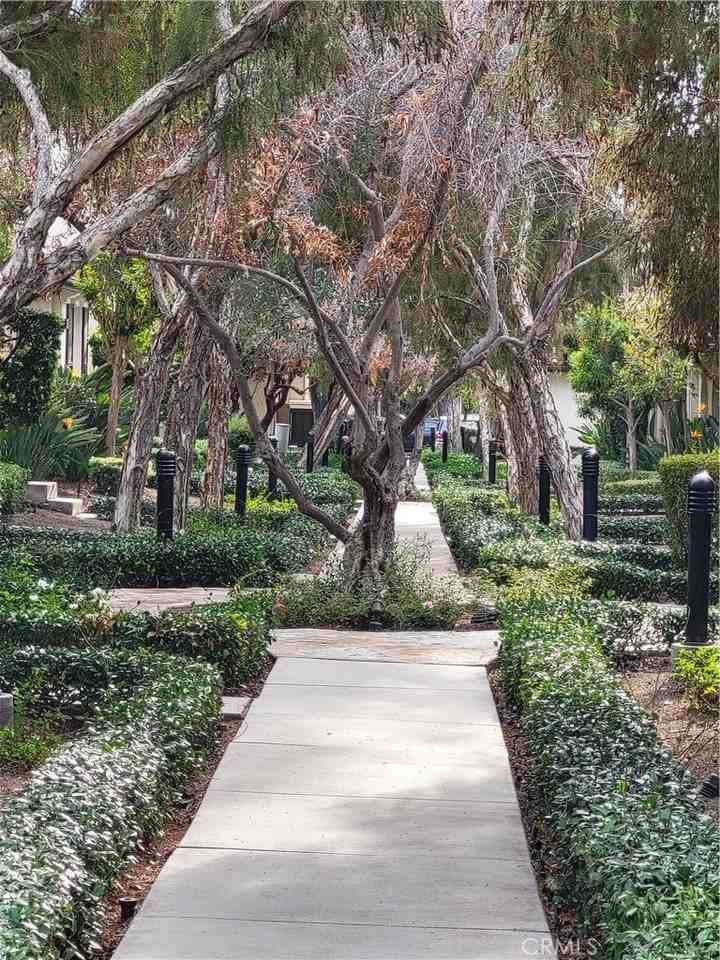 64 Shadowplay - Photo 3 of 50