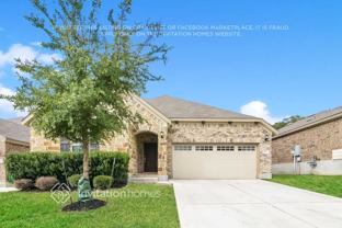 10612 Hibiscus Cv - Photo 1 of 1