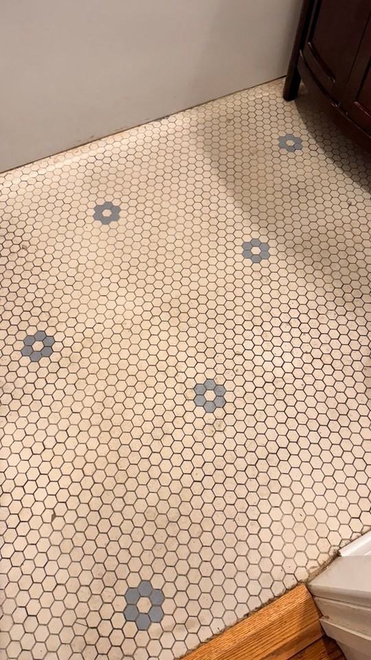 3152 W Cullom Ave - Photo 4 of 14