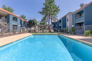 Gilbert Greens - Photo 1 of 1