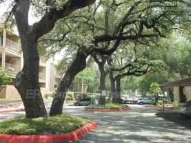 4119 Medical Dr #304F - Photo 1 of 1