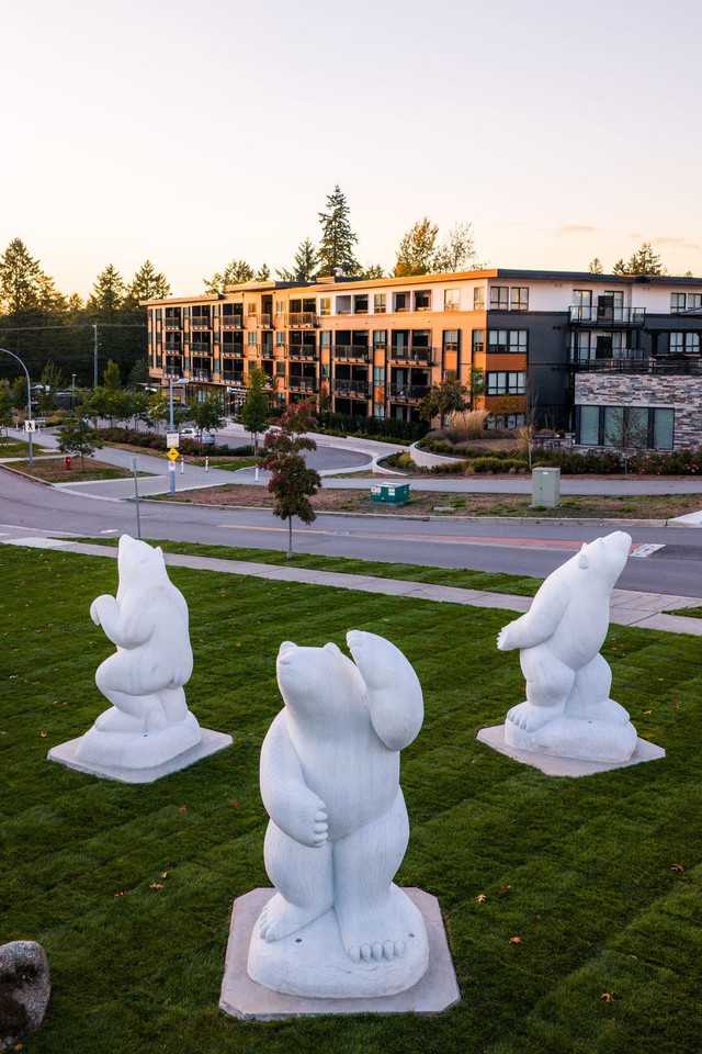 Wood & Water - Photo 3 of 19