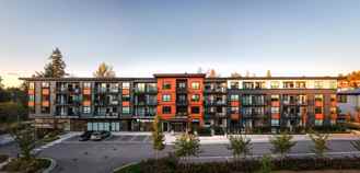 Wood & Water - Photo 1 of 1