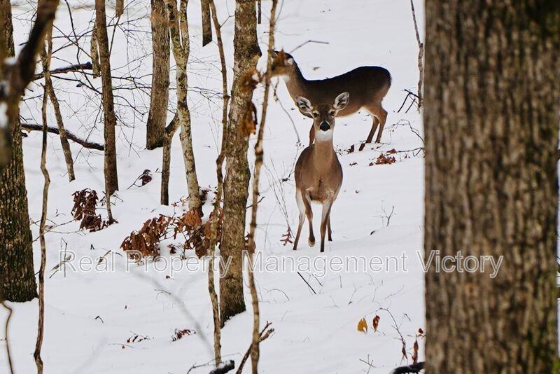 1199 Berwick Rd - Photo 5 of 15
