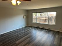 Boris Gardens - Photo 1 of 1