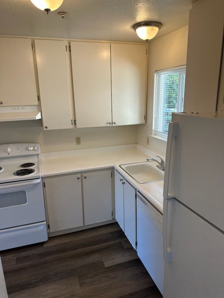 Boris Gardens - Photo 3 of 11