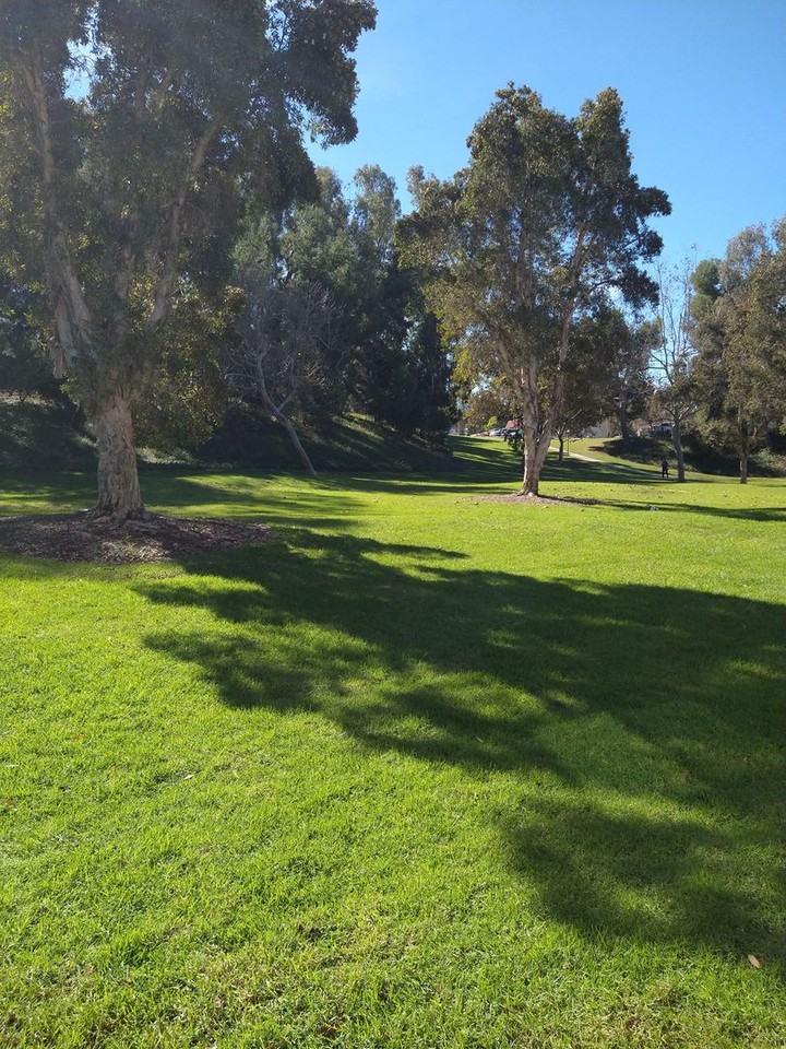 2713 Via Cardel - Photo 7 of 36