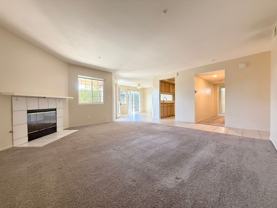 Waverider - Photo 1 of 1