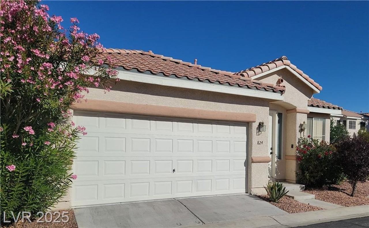 824 Painted Vista Ave - Photo 2 of 29