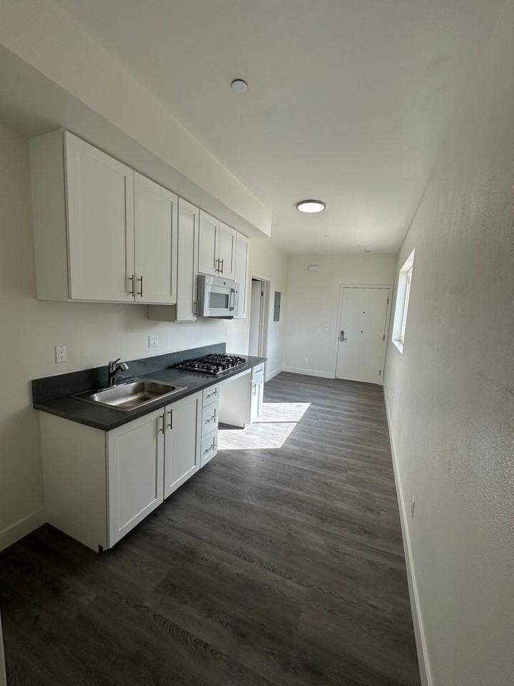 226 W. 87th St. (Restricted Property ALL UNITS) - Photo 2 of 25