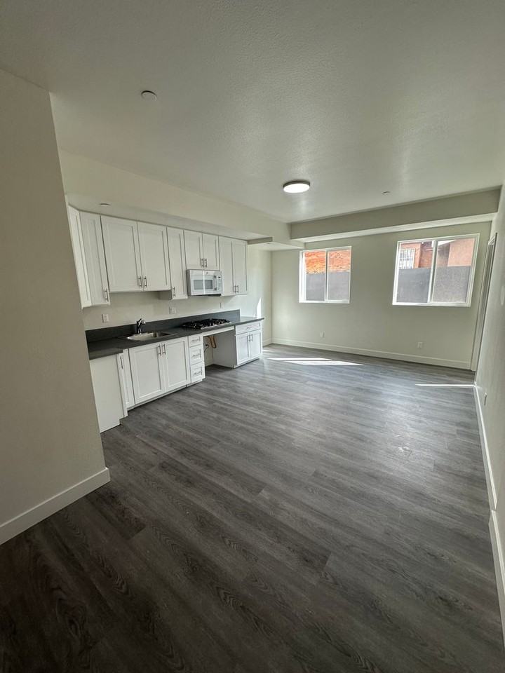 226 W. 87th St. (Restricted Property ALL UNITS) - Photo 4 of 25