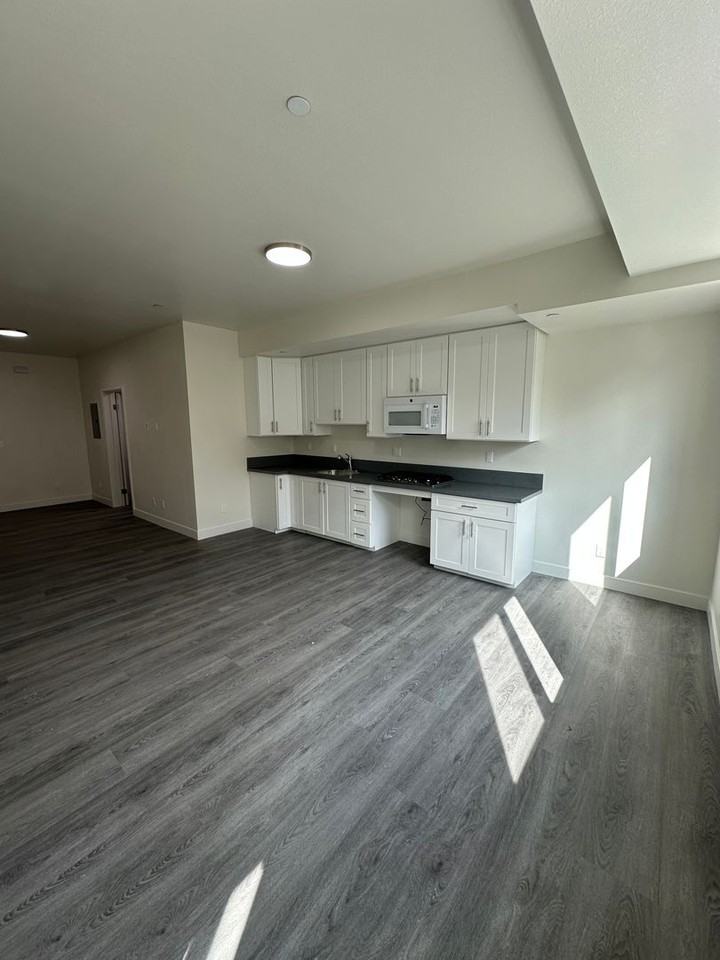 226 W. 87th St. (Restricted Property ALL UNITS) - Photo 5 of 25