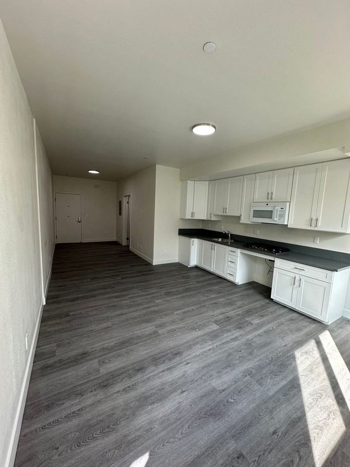 226 W. 87th St. (Restricted Property ALL UNITS) - Photo 6 of 25