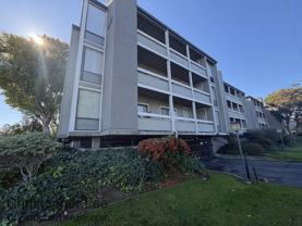 1081 Beach Park Blvd #205 - Photo 1 of 1