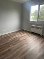 featured image of 11235