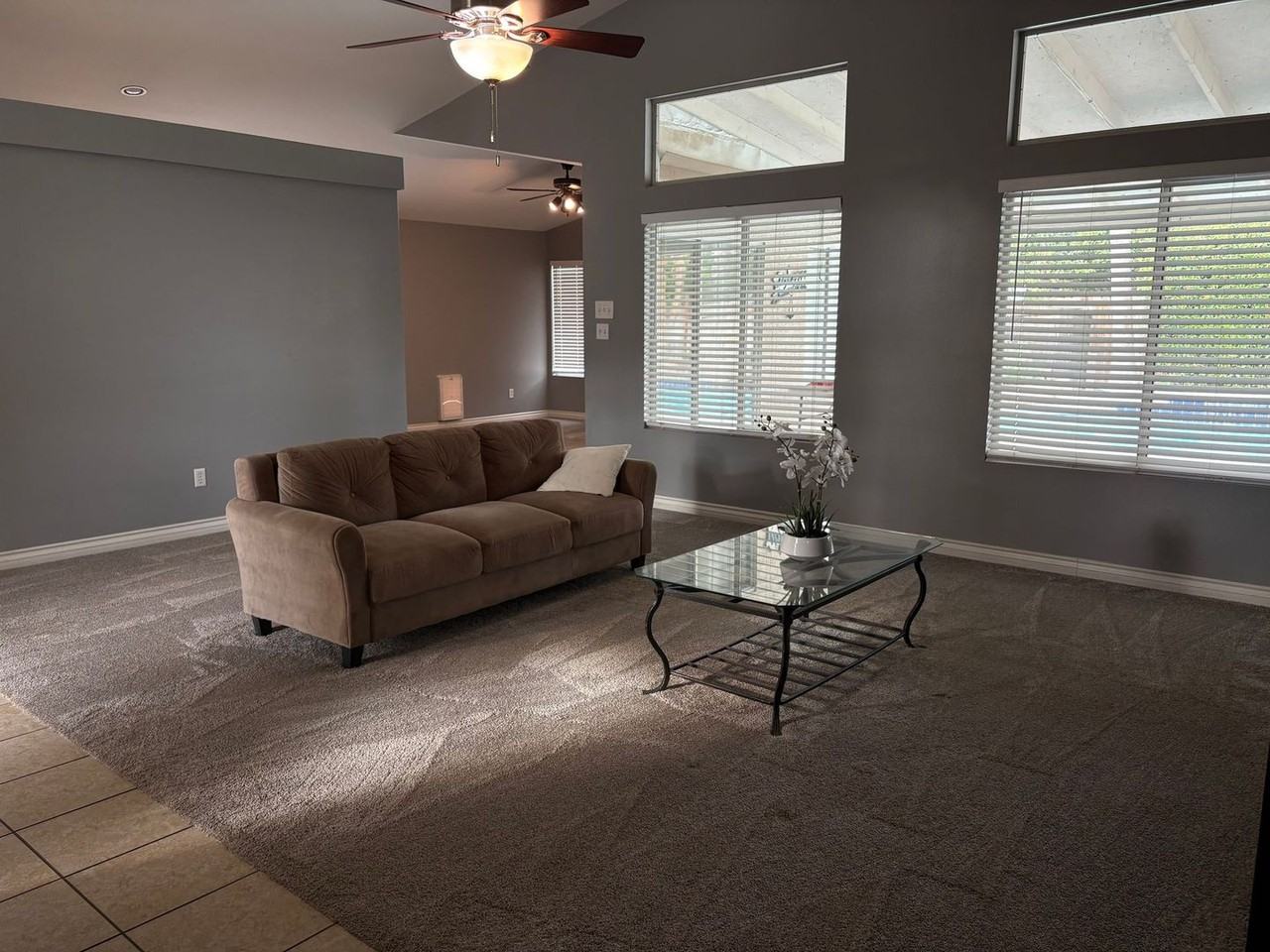 6409 Easter Lily Ct - Photo 7 of 14