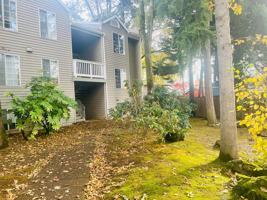 featured image of 6160 Southwest Alice Lane