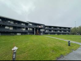 featured image of 4554 Homer Dr