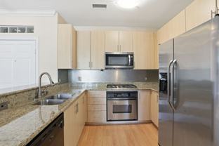 1225 Island Ave #307 - Photo 1 of 1