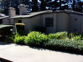 featured image of 7134 Gloria Dr