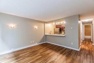 ETRURIA - Photo 1 of 1