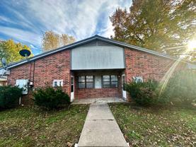 American Tiger - Photo 1 of 1