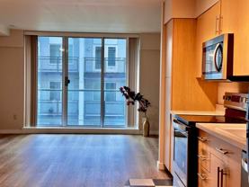 1100 106th Avenue Northeast #501 - Photo 1 of 1