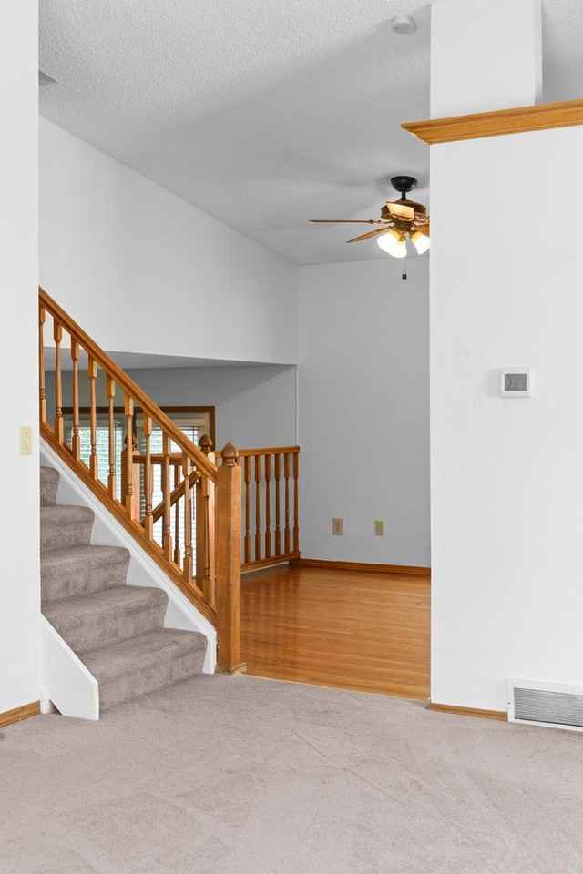 884 Elliott Street - Photo 5 of 42
