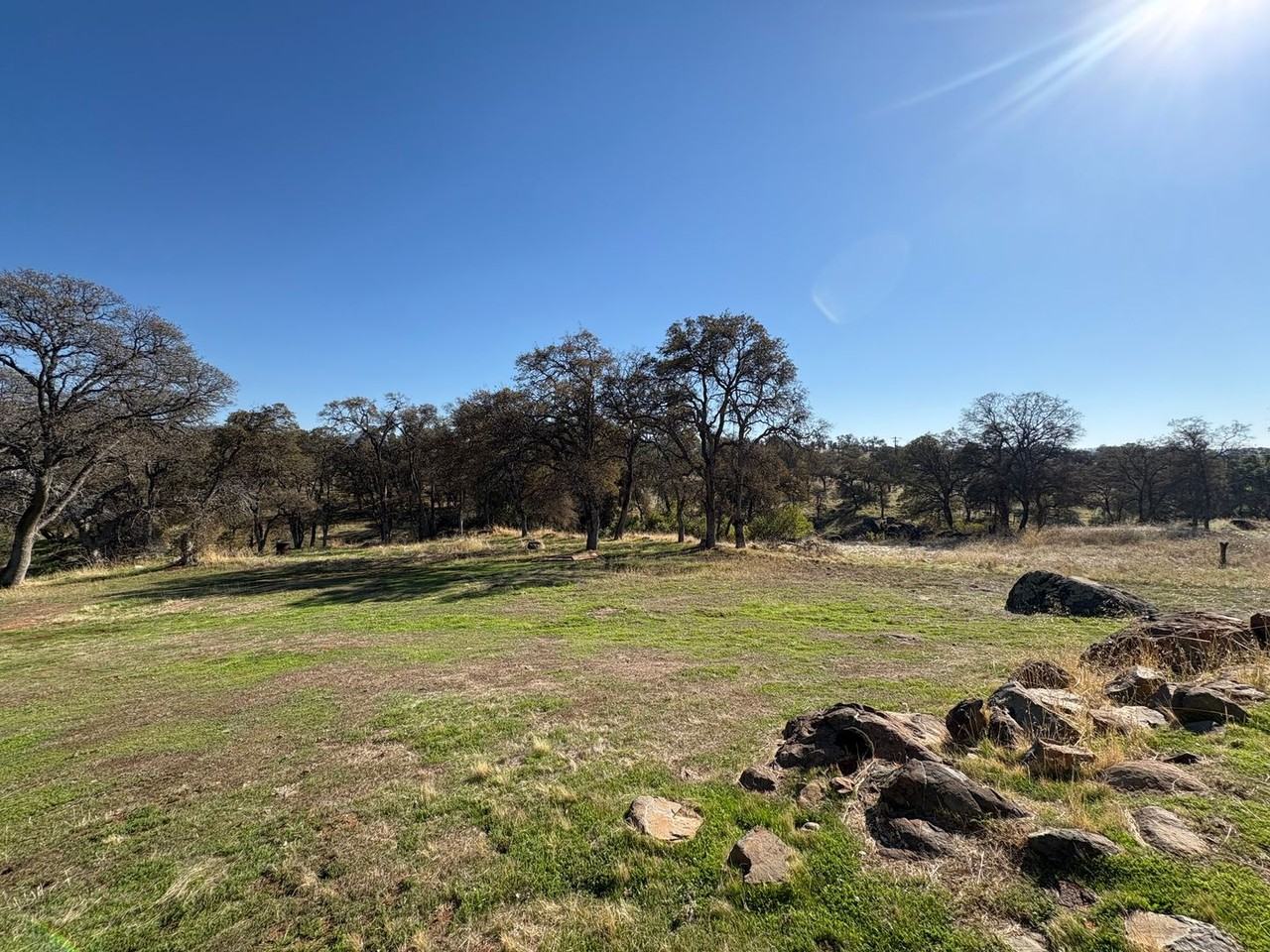 Guenthart Way - Photo 3 of 17