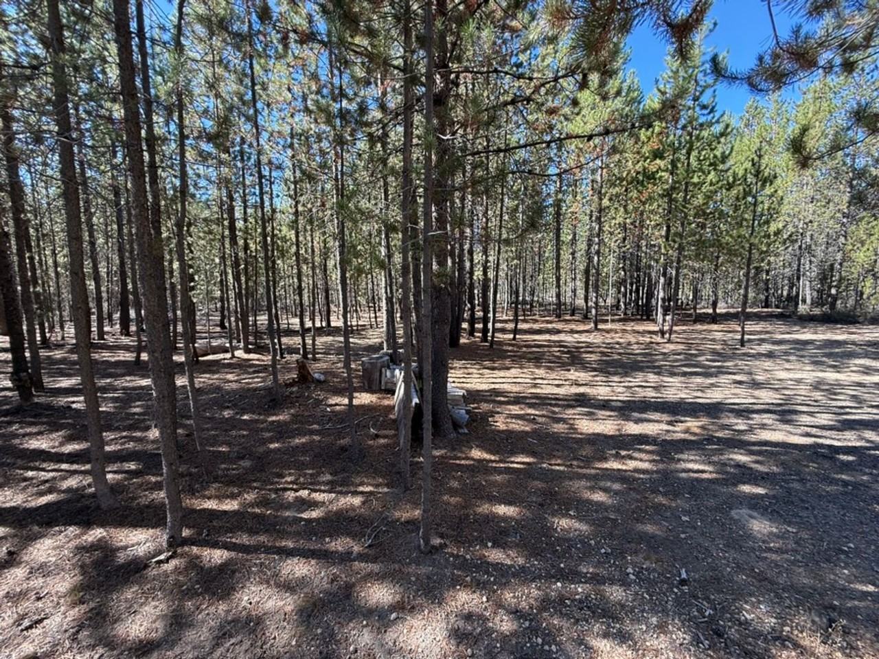 11414 Zeb Ct - Photo 6 of 41