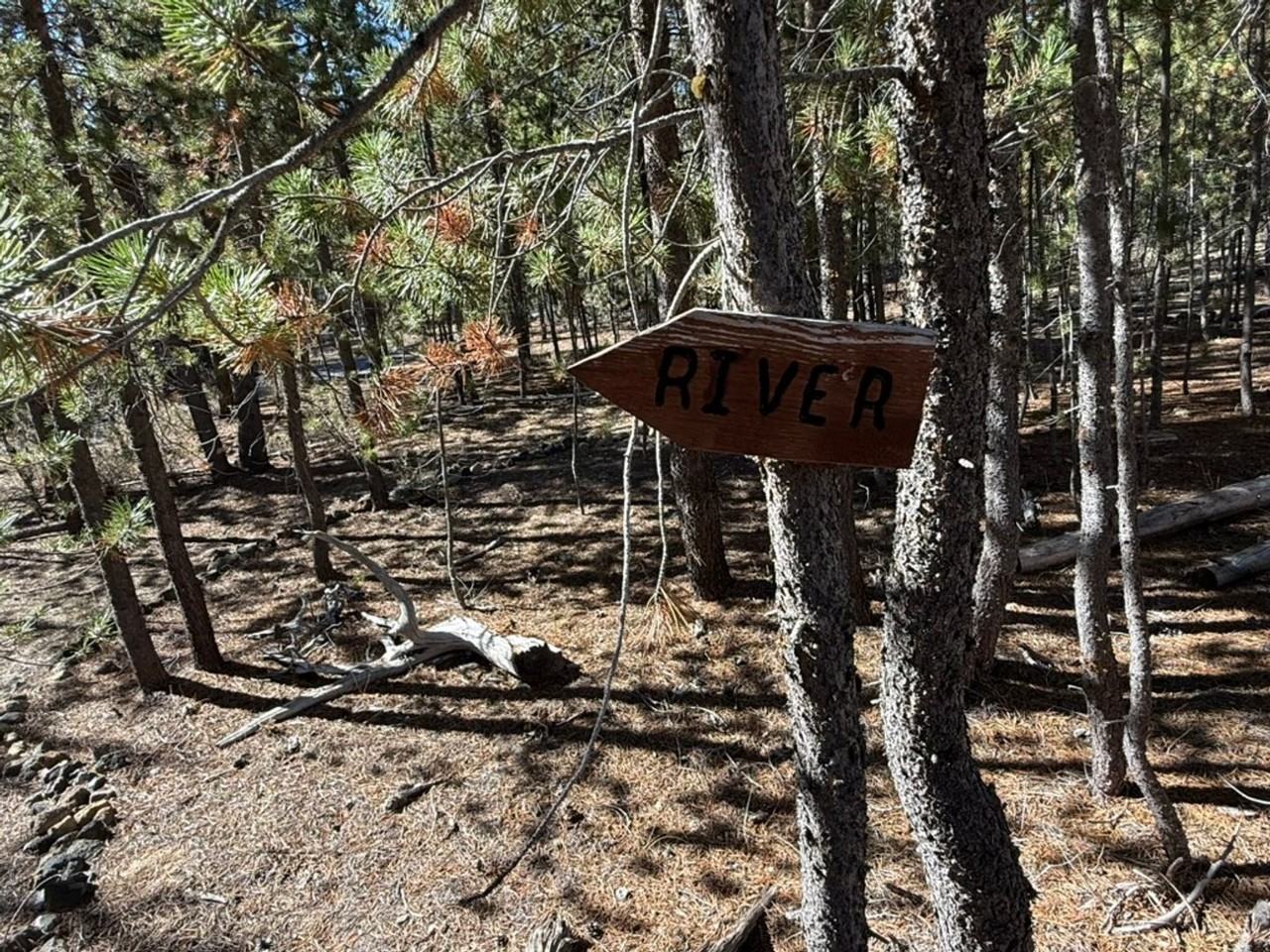 11414 Zeb Ct - Photo 7 of 41