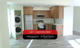 Shelbourne - Photo 1 of 1