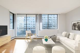 Dogwood - Photo 1 of 1