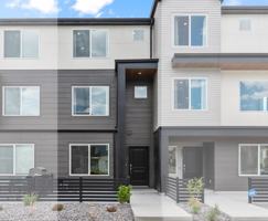 featured image of 1146 Ws