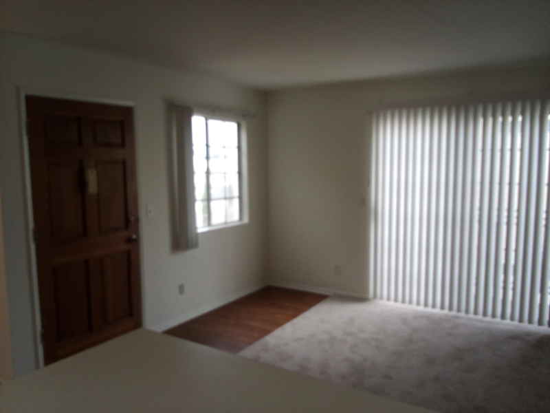 3031 Grand View Blvd #207 - Photo 3 of 11